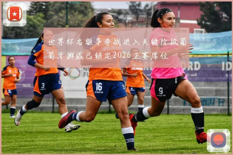 世界杯名额争夺战进入关键阶段葡萄牙挪威已锁定2026正赛席位